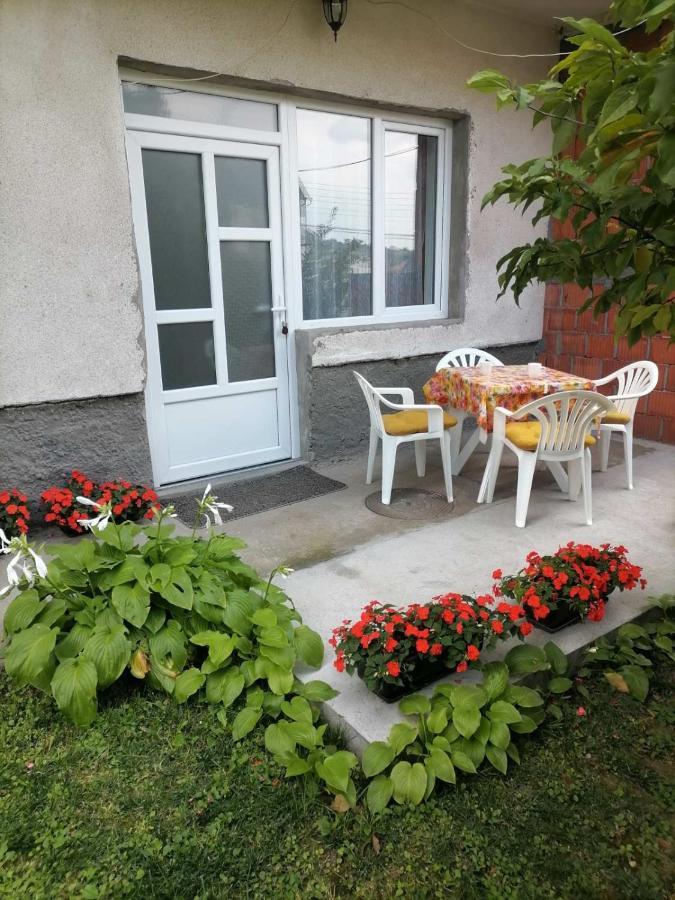 Pavicevic Apartment Soko Banja Bagian luar foto