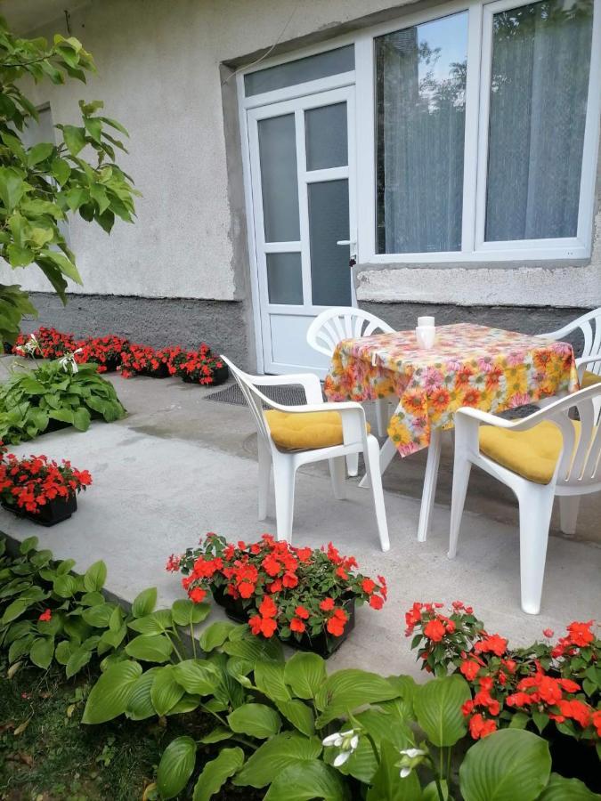 Pavicevic Apartment Soko Banja Bagian luar foto