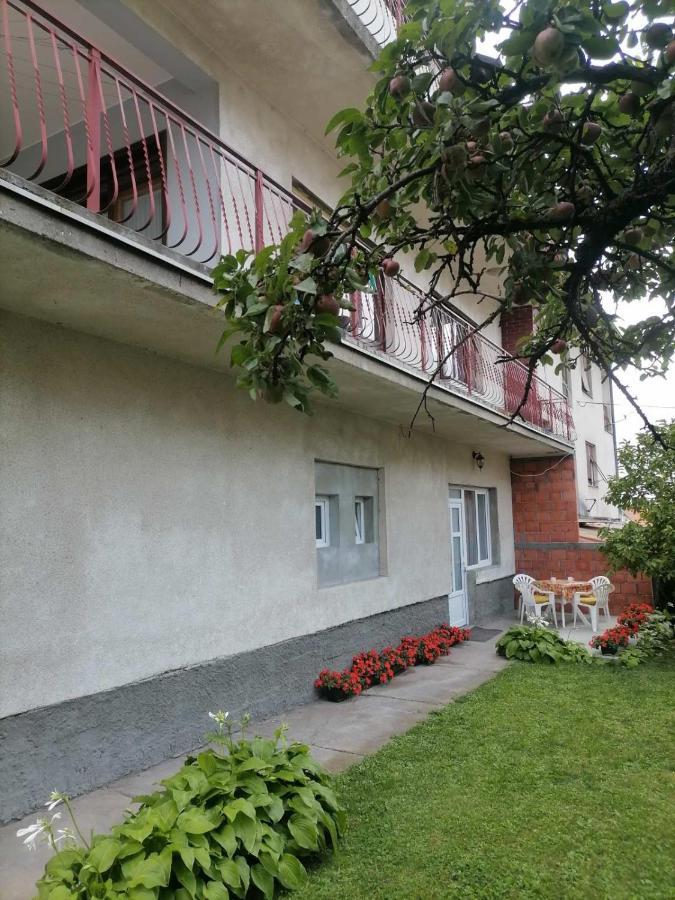 Pavicevic Apartment Soko Banja Bagian luar foto