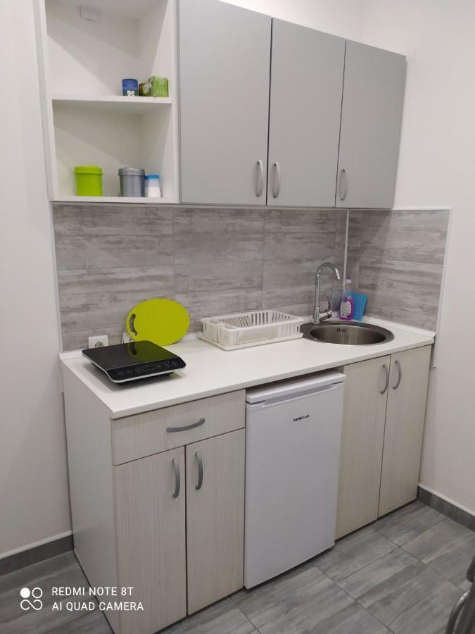 Pavicevic Apartment Soko Banja Bagian luar foto