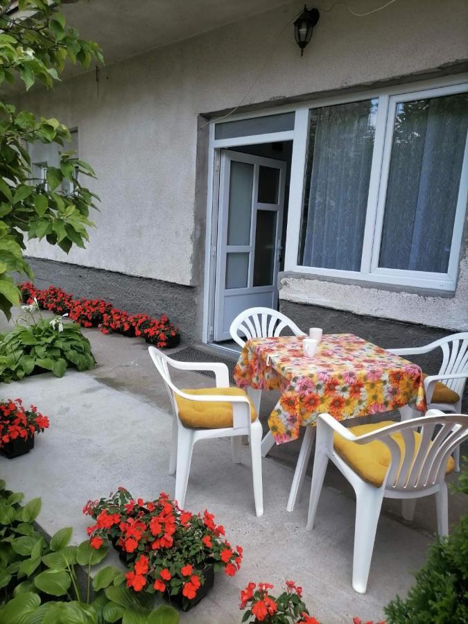 Pavicevic Apartment Soko Banja Bagian luar foto