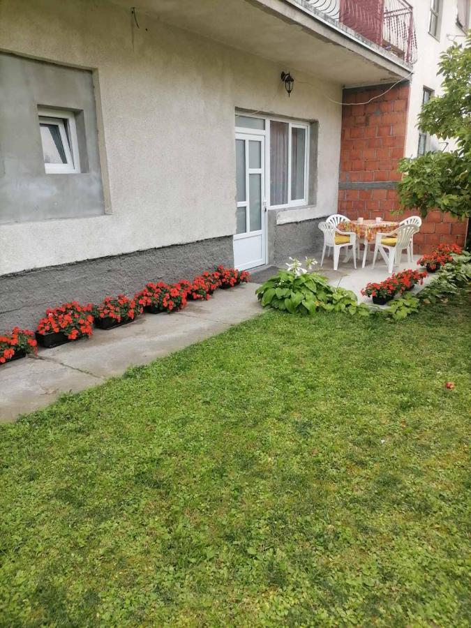 Pavicevic Apartment Soko Banja Bagian luar foto