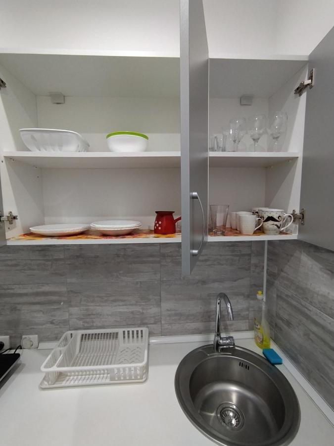 Pavicevic Apartment Soko Banja Bagian luar foto