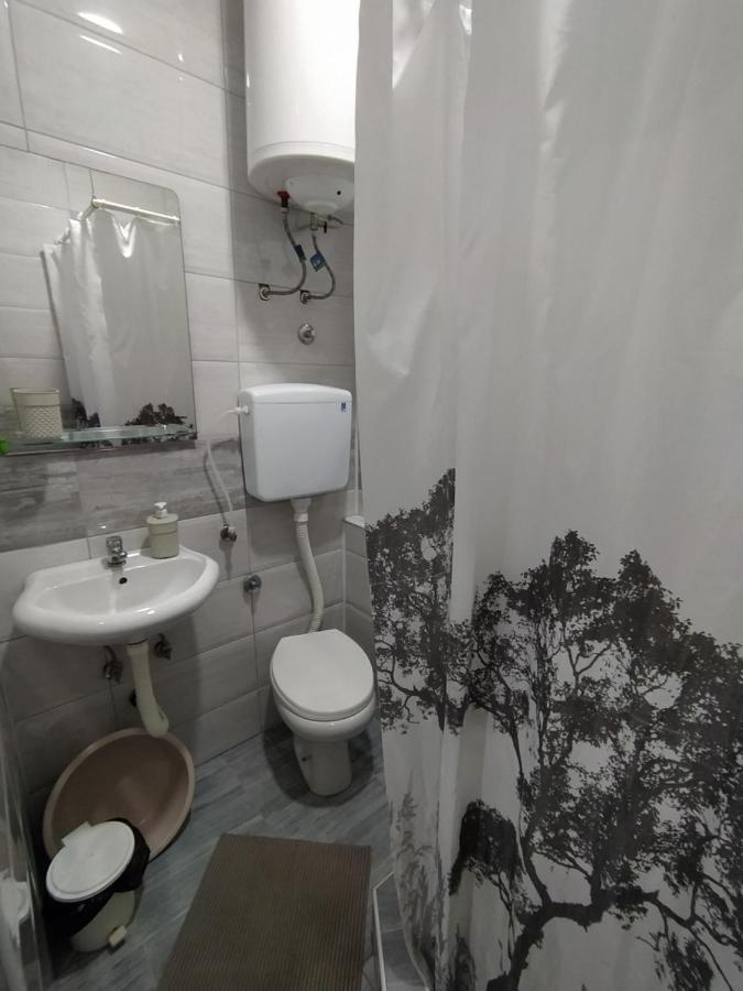 Pavicevic Apartment Soko Banja Bagian luar foto