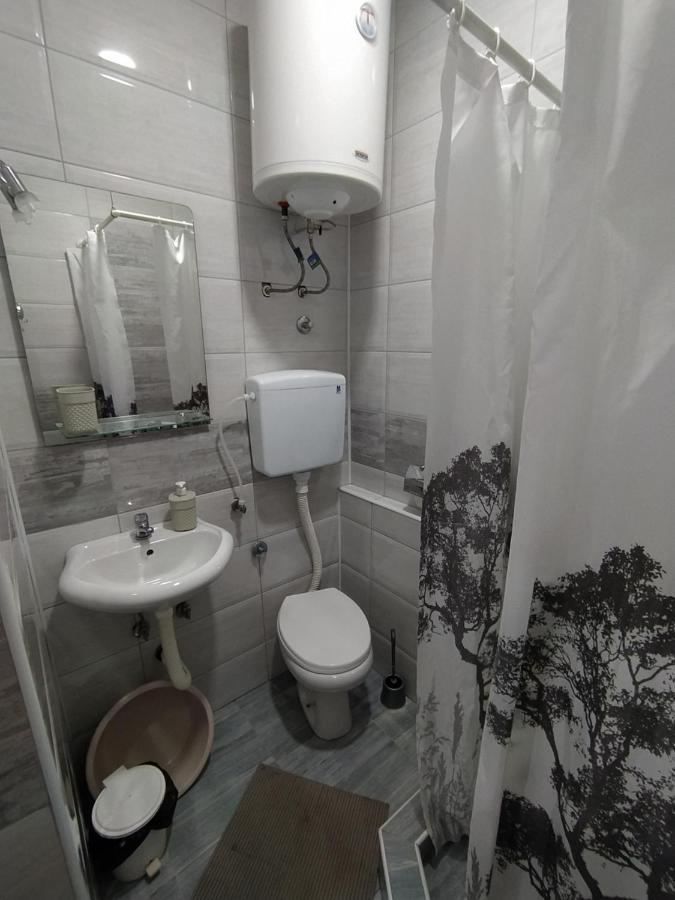Pavicevic Apartment Soko Banja Bagian luar foto
