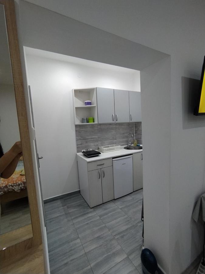 Pavicevic Apartment Soko Banja Bagian luar foto