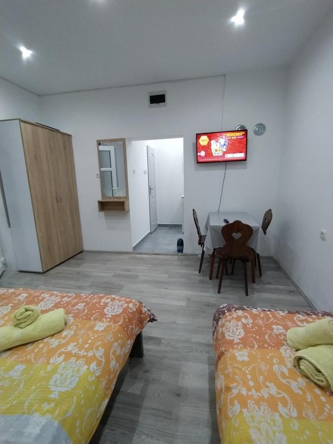 Pavicevic Apartment Soko Banja Bagian luar foto