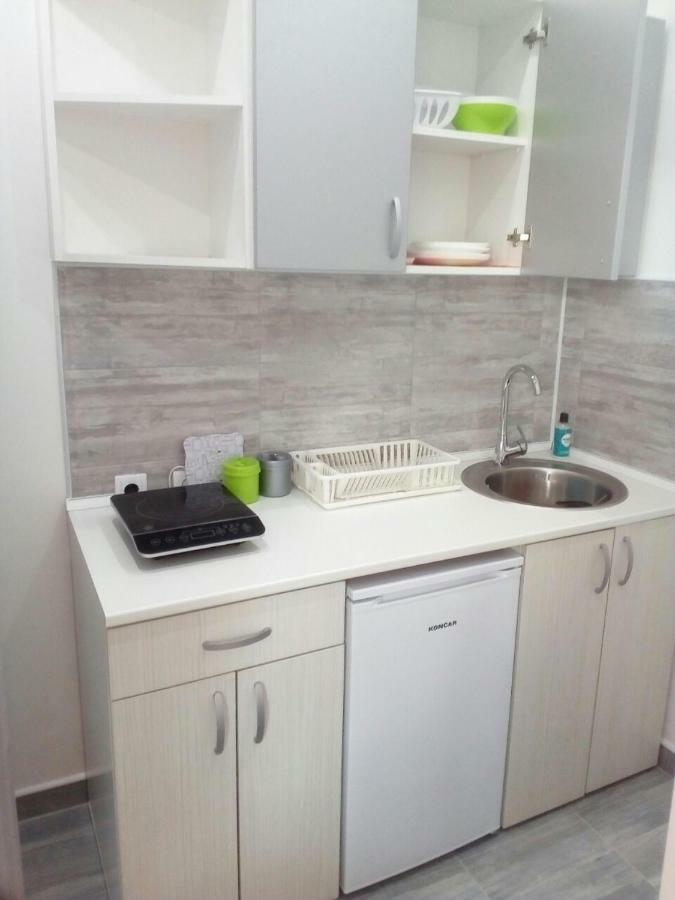 Pavicevic Apartment Soko Banja Bagian luar foto