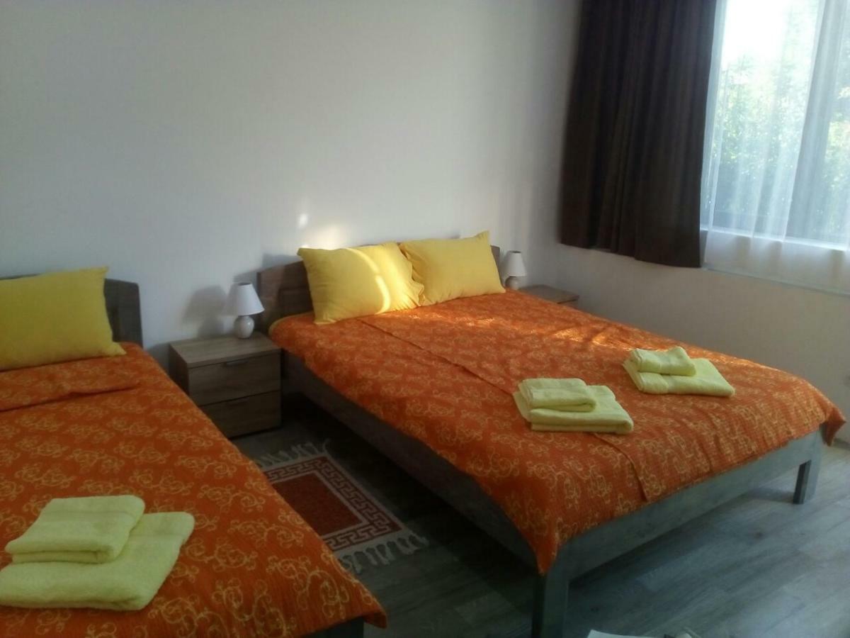 Pavicevic Apartment Soko Banja Bagian luar foto